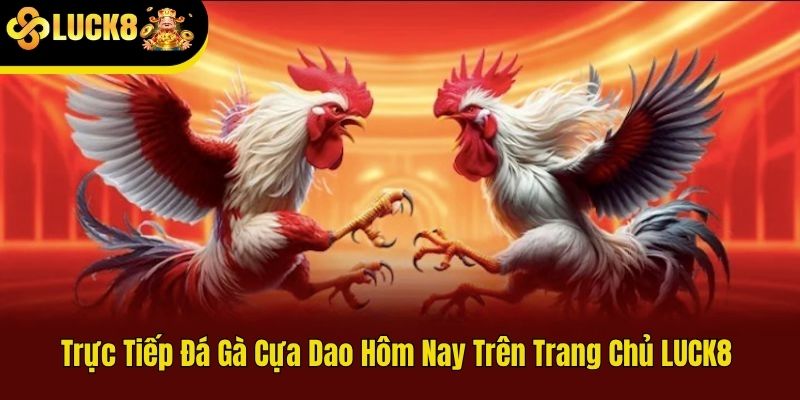 trực tiếp đá gà cựa dao hôm nay